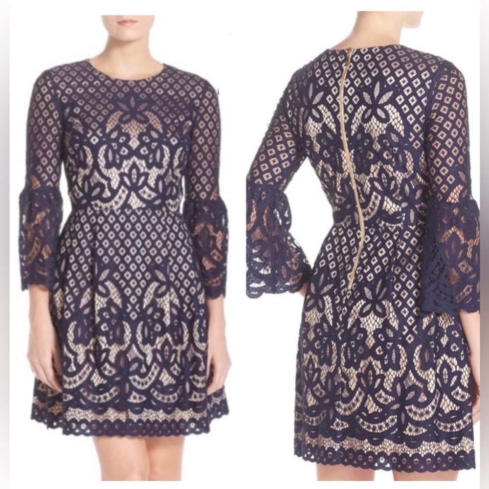 Eliza J Navy & Nude Lace Fit-and-Flare Dress Size 0 Petite
